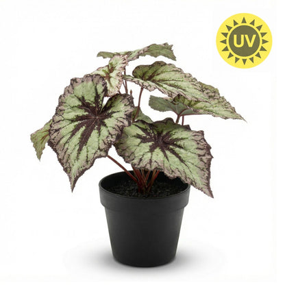 Begonia 26 cm - Kunstplant in pot – UV - Artificial plant