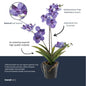 Orchidee Vanda kunstplant 60 cm - Paars - In pot - Artificial plant