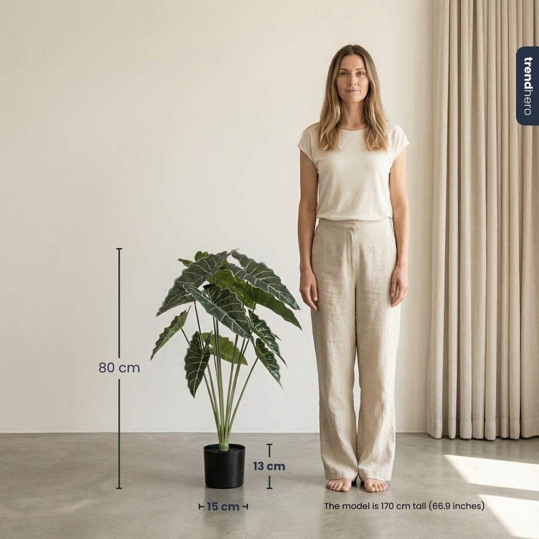 Alocasia 80cm - Kunstplant - Artificial plant