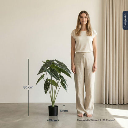Alocasia 80cm - Kunstplant - Artificial plant
