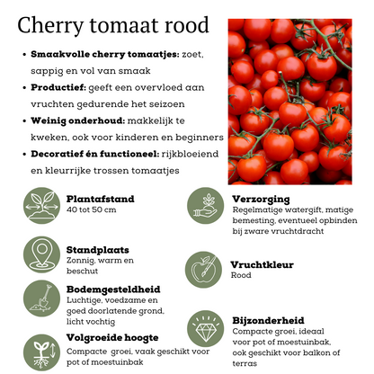 Rode plukgroente mix van 3 planten - Cherry tomaat - Rode snack paprika - Rode hete peper plant - Ø 14 cm - ↨ 45 cm