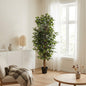 ARTIFICIAL Ficus Benjamina - 180cm