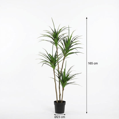 ARTIFICIAL Dracaena - 165cm