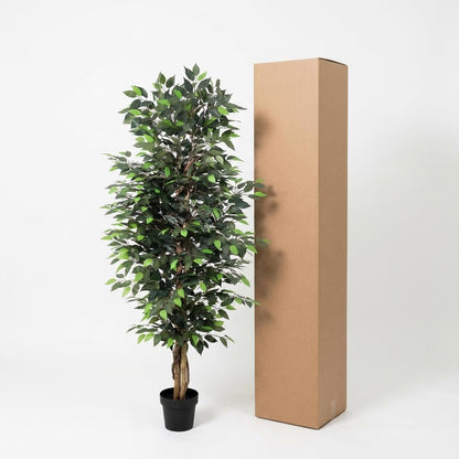 ARTIFICIAL Ficus Benjamina - 180cm