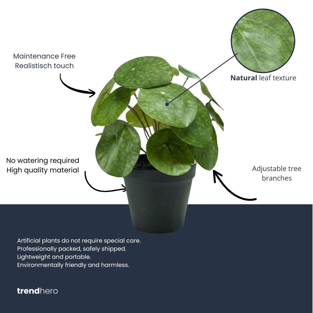 Pilea bush 25 cm in zwarte pot - Kunstplant - Artificial plant