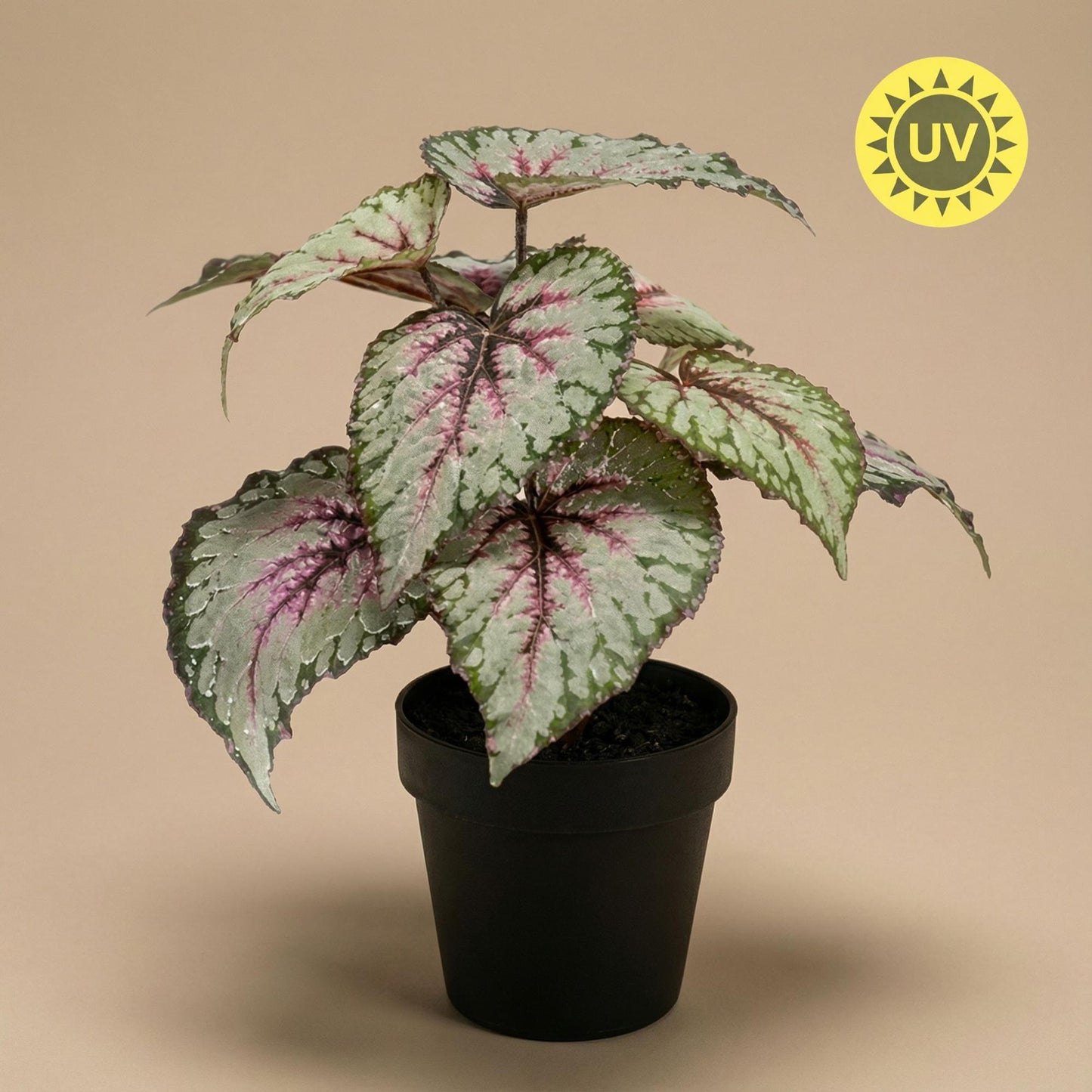 Begonia - 26 cm in pot - Kunstplant - Artificial plant - UV - Indoor & Outdoor