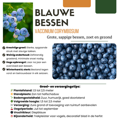 "Vruchten feestje" BIO Fruitplanten mix set van 3 verschillende soorten