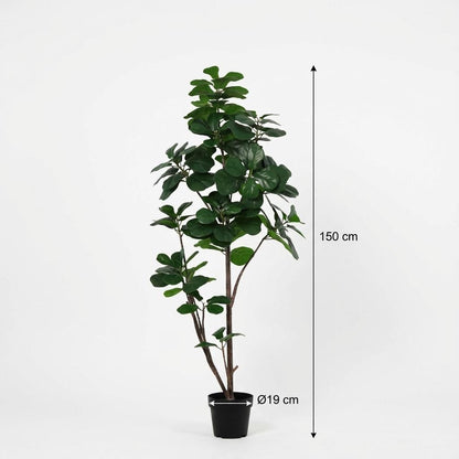ARTIFICIAL Ficus lyrata vertakt - 150cm