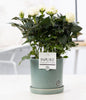 Rosa White In P&PURE Lauren Ceramics - Ø12cm - ↕30cm