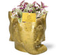 Tradescantia Sweetness - Ø10,5cm - ↕10cm + Planter Olifant D11/12x10cm - Goud