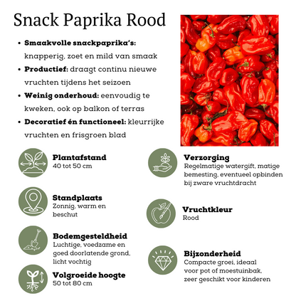Rode plukgroente mix van 3 planten - Cherry tomaat - Rode snack paprika - Rode hete peper plant - Ø 14 cm - ↨ 45 cm