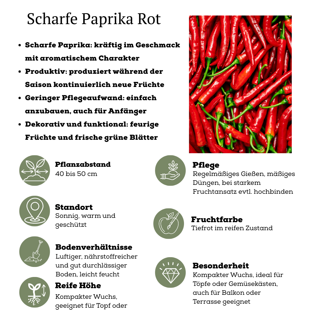 Rode plukgroente mix van 3 planten - Cherry tomaat - Rode snack paprika - Rode hete peper plant - Ø 14 cm - ↨ 45 cm