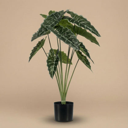 Alocasia 80cm - Kunstplant - Artificial plant