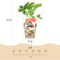 Green boutiQ - Fruitplanten - Aardbei - Fragaria Maxim - Winterhard - 6 Planten - Pot 9 cm - Rode Aardbei