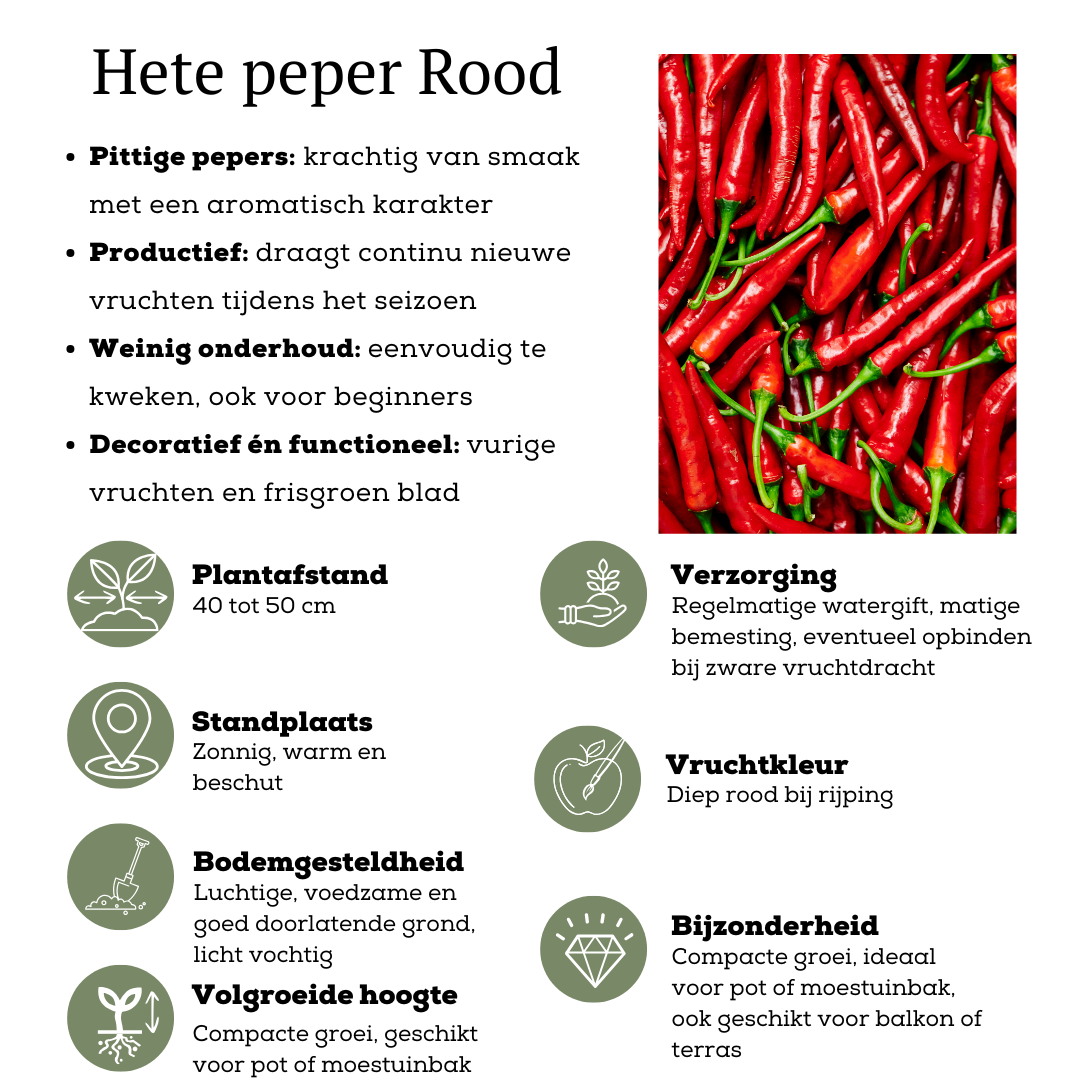 Rode plukgroente mix van 3 planten - Cherry tomaat - Rode snack paprika - Rode hete peper plant - Ø 14 cm - ↨ 45 cm