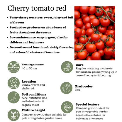 Rode plukgroente mix van 3 planten - Cherry tomaat - Rode snack paprika - Rode hete peper plant - Ø 14 cm - ↨ 45 cm