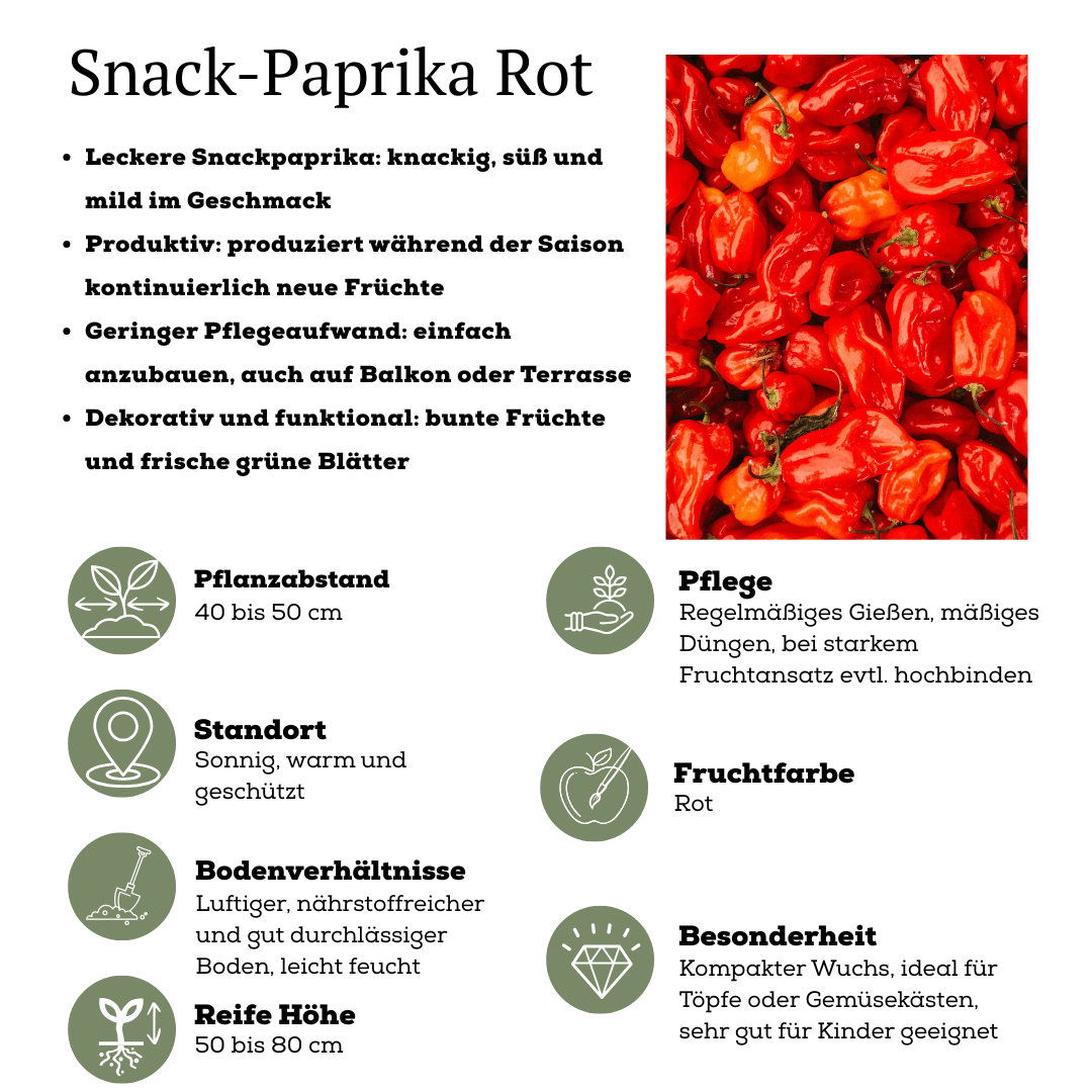 Rode plukgroente mix van 3 planten - Cherry tomaat - Rode snack paprika - Rode hete peper plant - Ø 14 cm - ↨ 45 cm