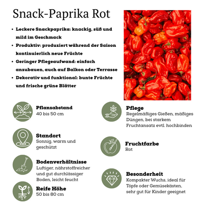 Rode plukgroente mix van 3 planten - Cherry tomaat - Rode snack paprika - Rode hete peper plant - Ø 14 cm - ↨ 45 cm