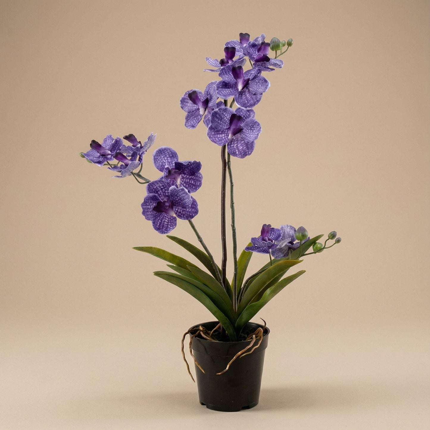 Orchidee Vanda kunstplant 60 cm - Paars - In pot - Artificial plant