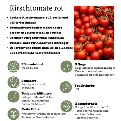 Rode plukgroente mix van 3 planten - Cherry tomaat - Rode snack paprika - Rode hete peper plant - Ø 14 cm - ↨ 45 cm