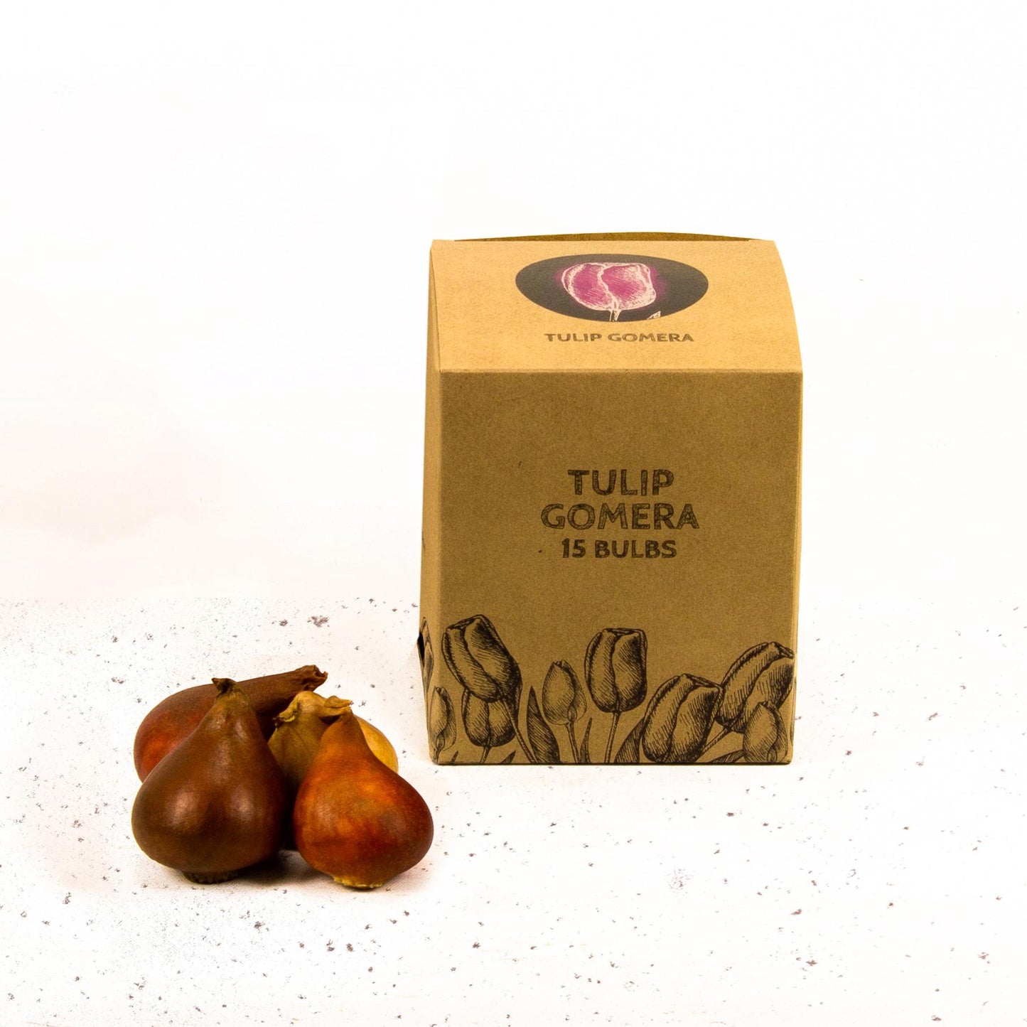 Flowerbulbs Amsterdam - Gomera - 15 bloembollen - Maat 12+