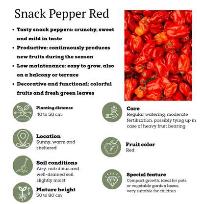 Rode plukgroente mix van 3 planten - Cherry tomaat - Rode snack paprika - Rode hete peper plant - Ø 14 cm - ↨ 45 cm