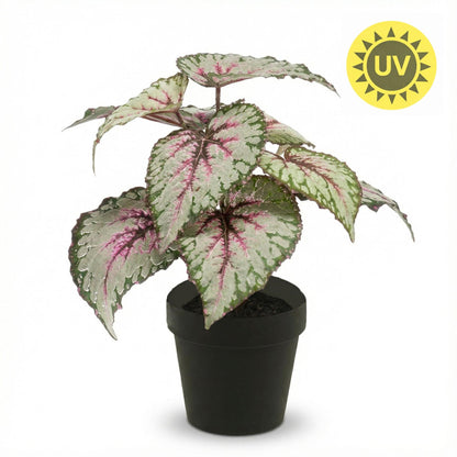 Begonia - 26 cm in pot - Kunstplant - Artificial plant - UV - Indoor & Outdoor