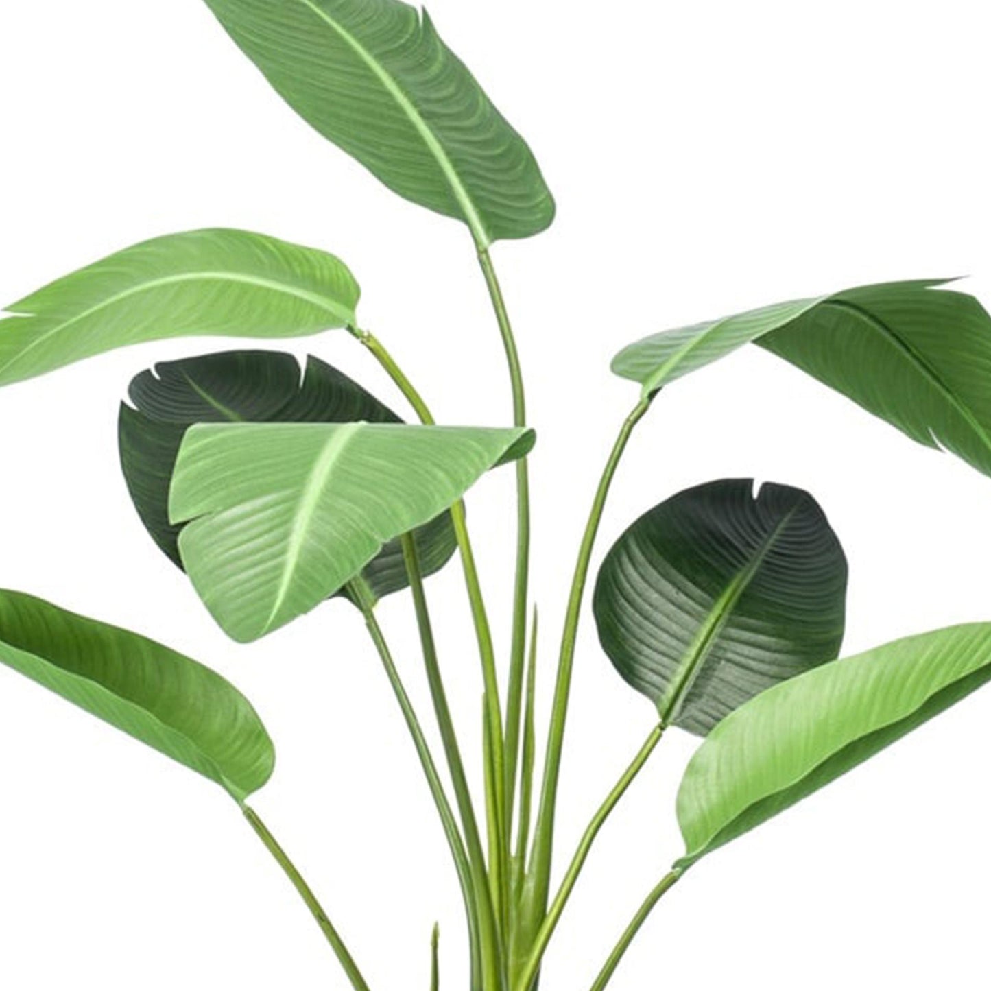 Strelitzia - 120cm - In zwarte pot - Kunstplant - Artificial plant
