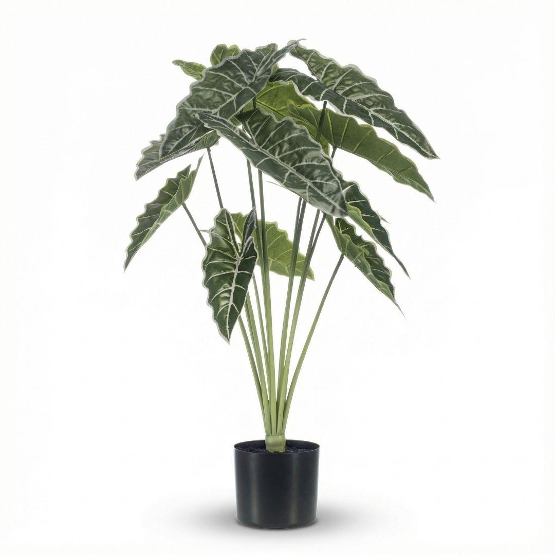 Alocasia 80cm - Kunstplant - Artificial plant