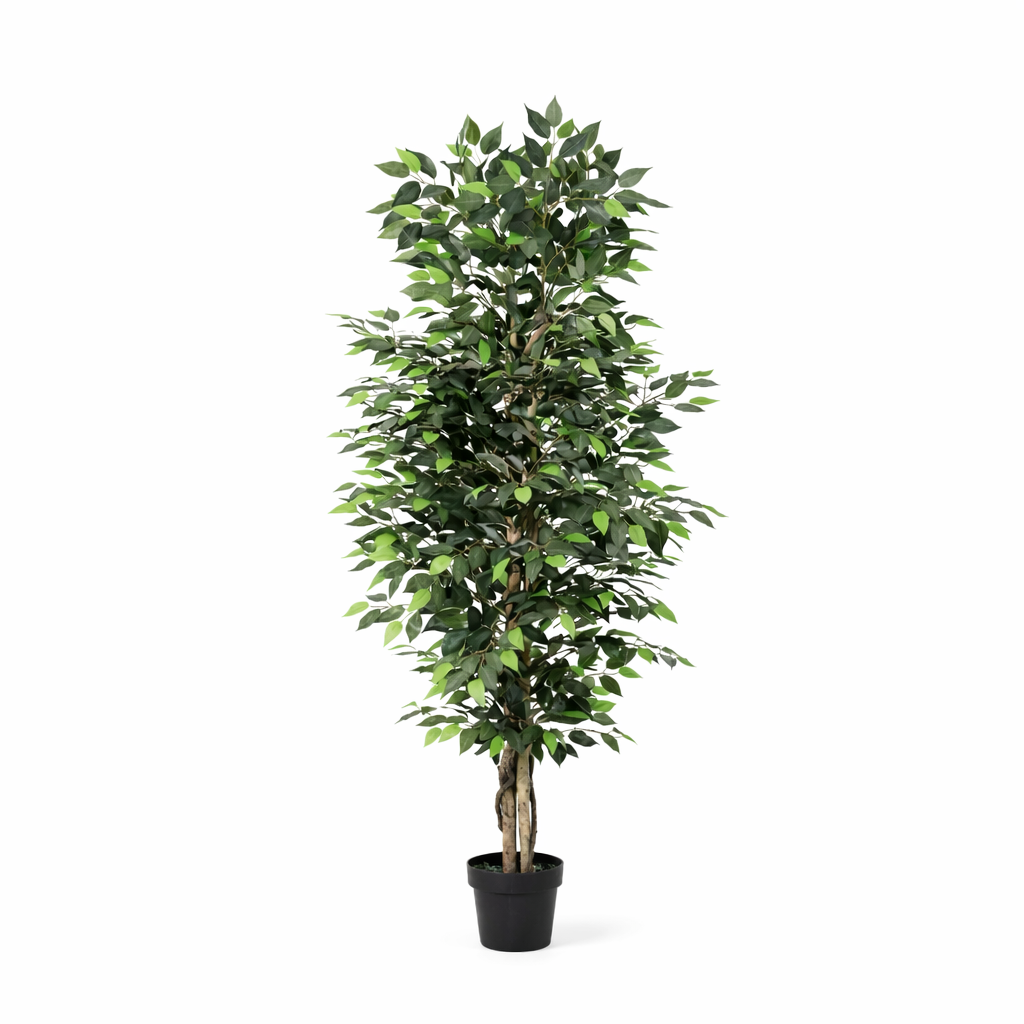 ARTIFICIAL Ficus Benjamina - 180cm