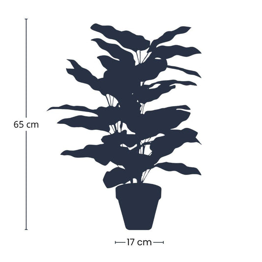 Calathea in pot - 65 cm hoog - Kunstplant - ARTIFICIAL