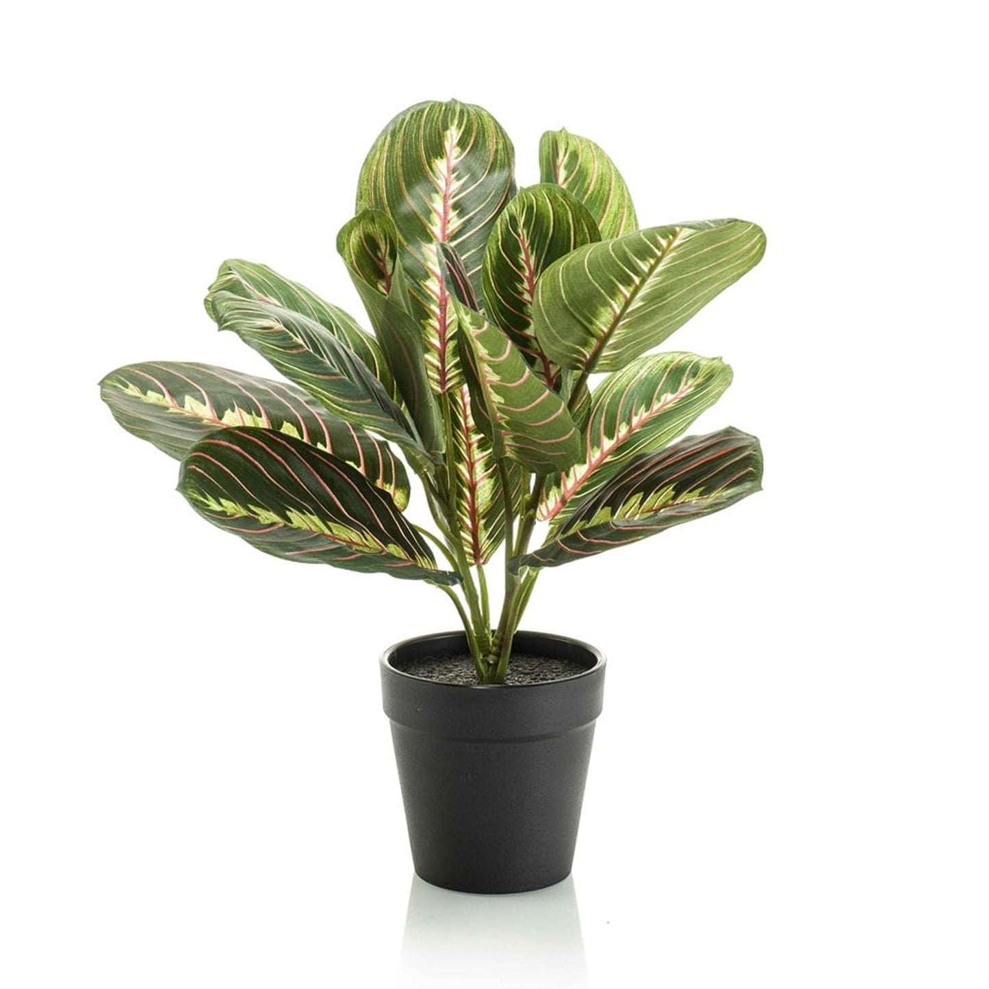 Maranta groen - 30cm - In zwarte pot - Kunstplant - ARTIFICIAL