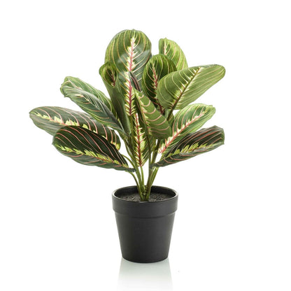 Maranta groen - 30cm - In zwarte pot - Kunstplant - ARTIFICIAL