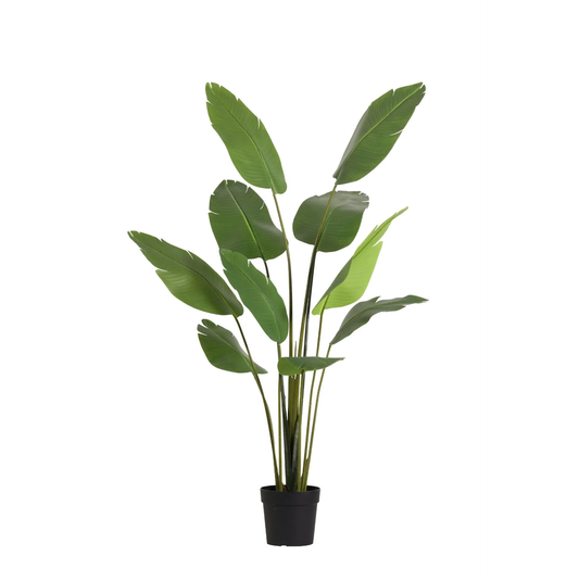 ARTIFICIAL Strelitzia Nicolai - 180cm