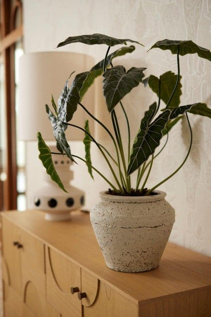 Alocasia 80cm - Kunstplant - Artificial plant