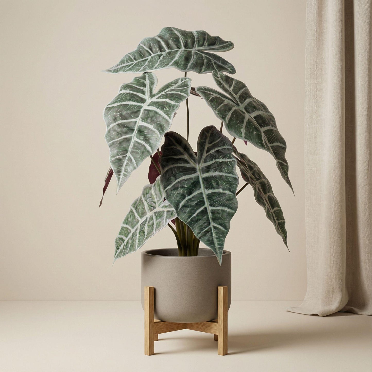 Alocasia bush in pot 40 cm - Kunstplant - Artificial plant