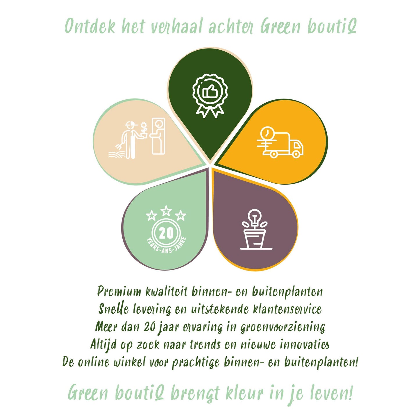 Green boutiQ - Haagplanten - Photinia Little Red Robin - Blad Rood - 8 Planten - 1 Strekkende Meter - Groenblijvend - Pot 9cm Hoogte 30-35cm