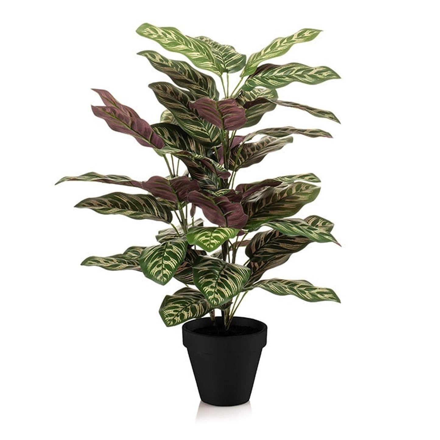 Calathea in pot - 65 cm hoog - Kunstplant - ARTIFICIAL