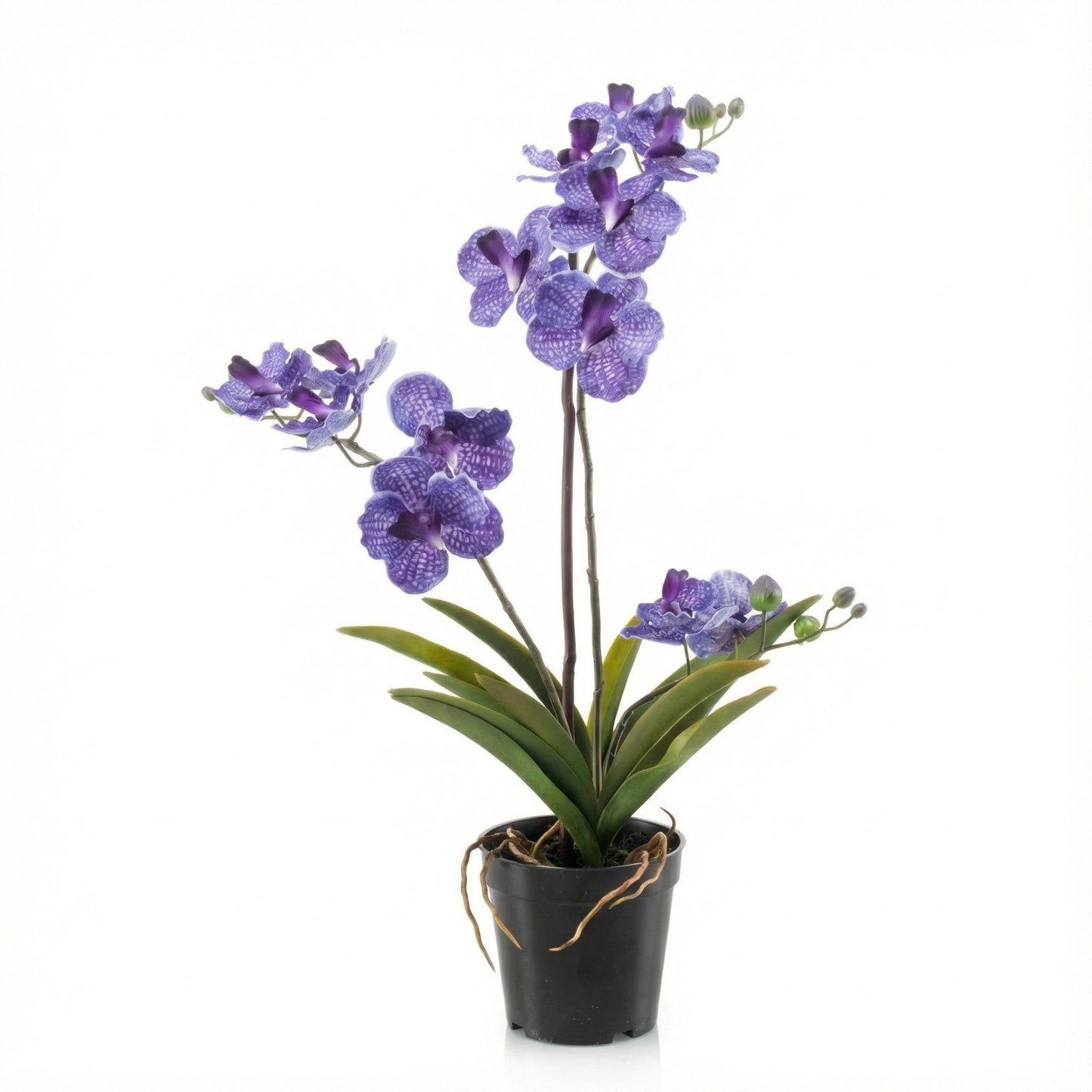 Orchidee Vanda kunstplant 60 cm - Paars - In pot - Artificial plant