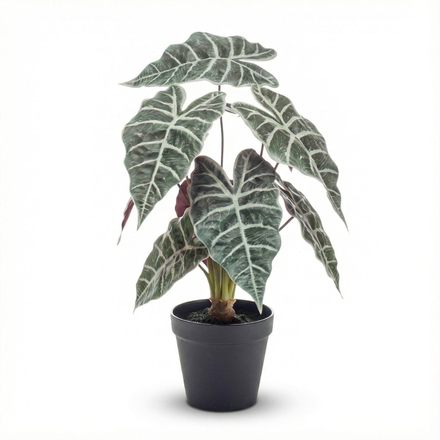 Alocasia bush in pot 40 cm - Kunstplant - Artificial plant