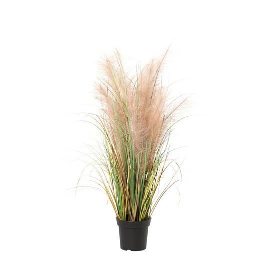 ARTIFICIAL Phragmites grass - 95cm