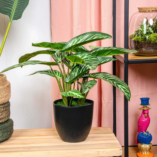 Calathea Zebrina in zwarte pot - 42 cm hoog - Kunstplant - ARTIFICIAL