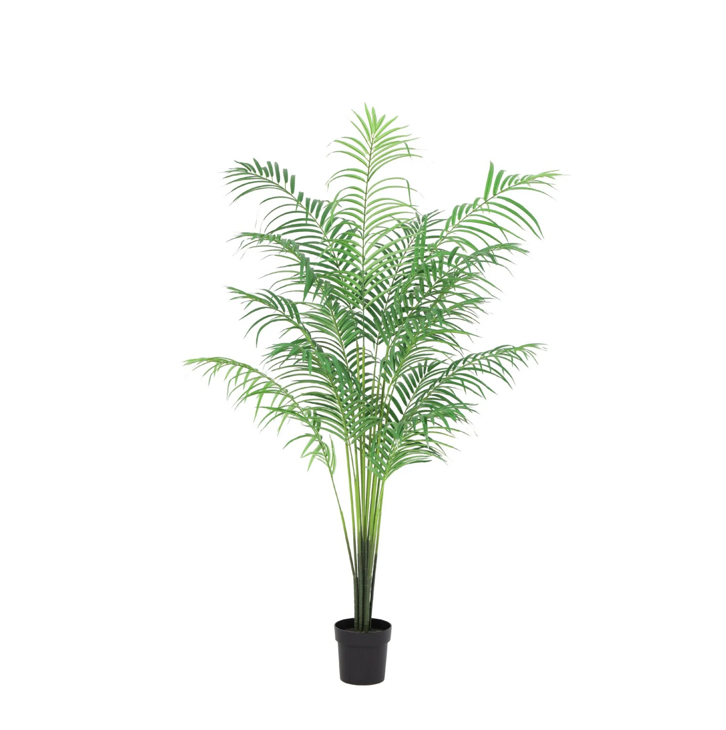 ARTIFICIAL Kentia palm - 170cm